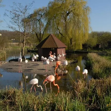 La Maison Du Port Comfortable *